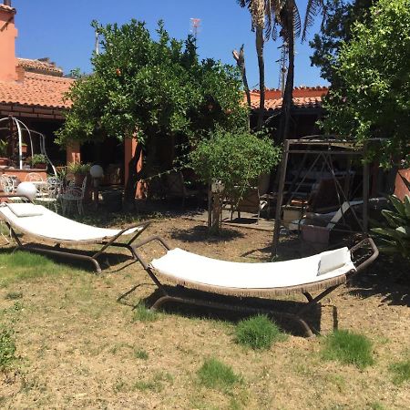 B B Casa Vacanze Il Pino Di Pino Ласкари Екстериор снимка