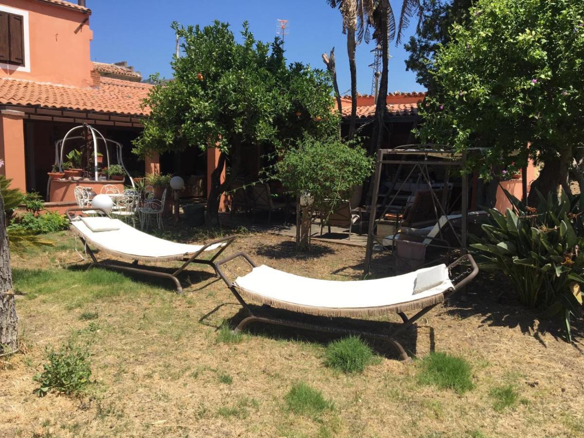 B B Casa Vacanze Il Pino Di Pino Ласкари Екстериор снимка