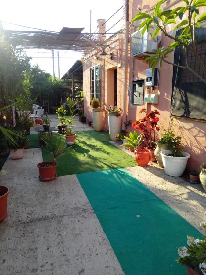 B B Casa Vacanze Il Pino Di Pino Ласкари Екстериор снимка