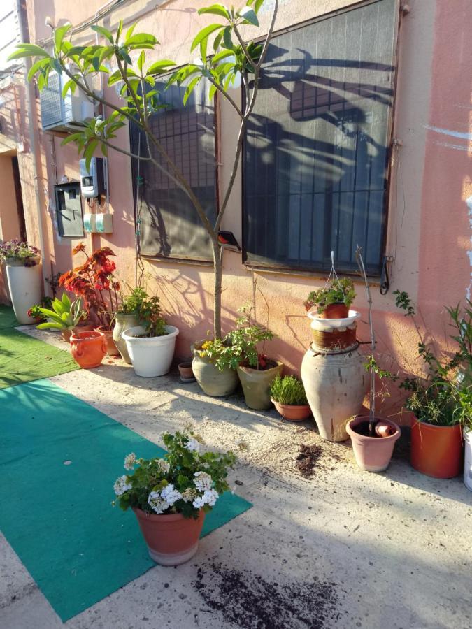 B B Casa Vacanze Il Pino Di Pino Ласкари Екстериор снимка